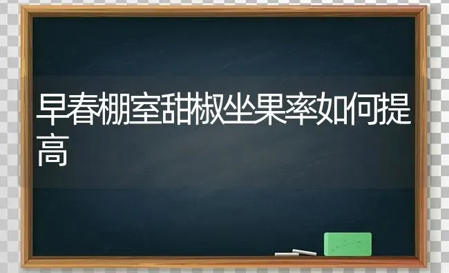 早春棚室甜椒坐果率如何提高 | 瓜果种植