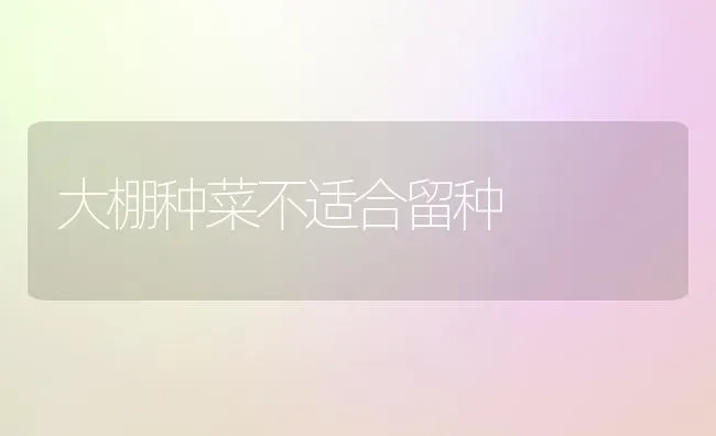 大棚种菜不适合留种 | 蔬菜种植