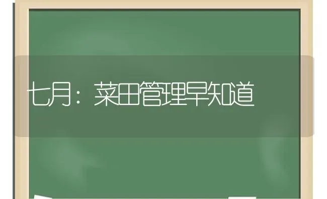 七月：菜田管理早知道 | 蔬菜种植