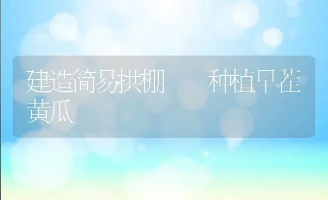 建造简易拱棚  种植早茬黄瓜 | 植物种植百科