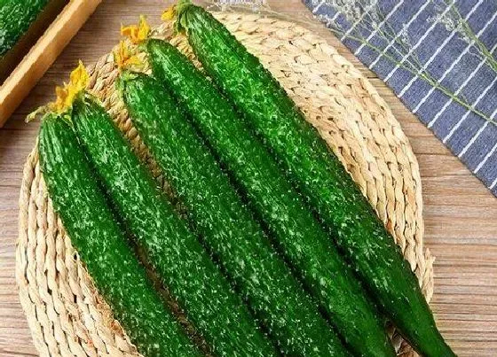 植物种类|能生吃的蔬菜有哪些 可以生着吃的蔬菜品种（带图）