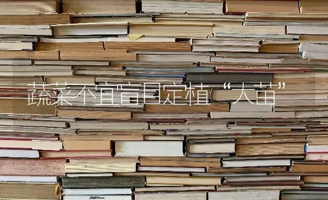 蔬菜不宜盲目定植“大苗” | 蔬菜种植