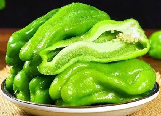 植物种类|含维生素c的水果和蔬菜有哪些 补vc吃什么食物和水果