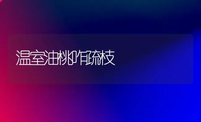 枇杷火龙果 南果能否北种 | 瓜果种植