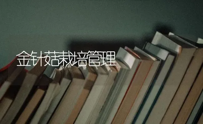 金针菇栽培管理 | 食用菌种植