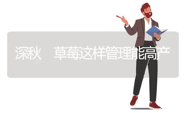 深秋 草莓这样管理能高产 | 瓜果种植