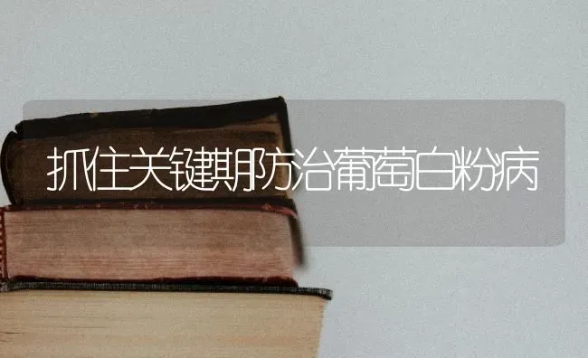 抓住关键期防治葡萄白粉病 | 瓜果种植