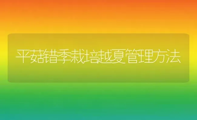 平菇错季栽培越夏管理方法 | 食用菌种植