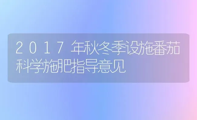 2017年秋冬季设施番茄科学施肥指导意见 | 种植肥料施肥