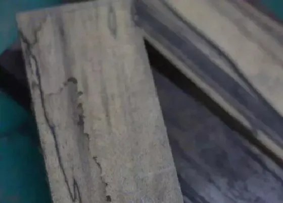 树干|黑柿木是什么木材 产地是哪里的