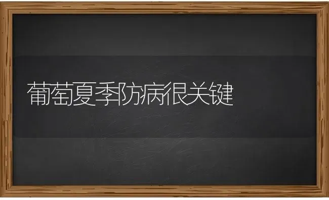 葡萄夏季防病很关键 | 瓜果种植
