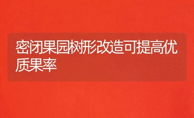 密闭果园树形改造可提高优质果率 | 瓜果种植