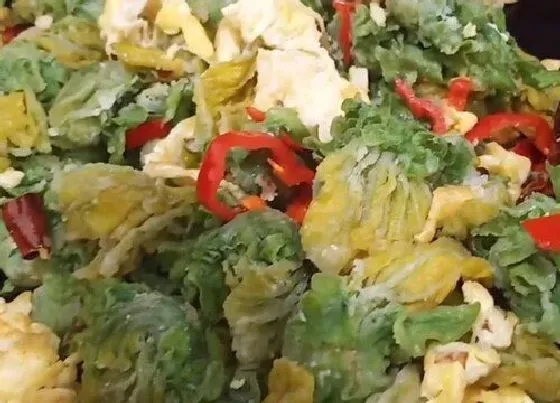 植物种类|带花的蔬菜有哪些 食用植物花的蔬菜名字和图片