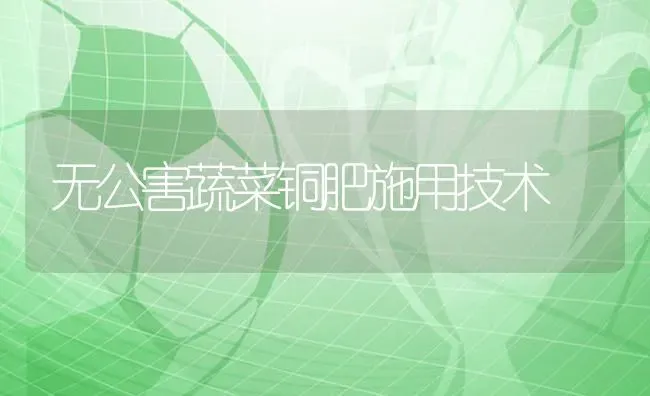 无公害蔬菜铜肥施用技术 | 蔬菜种植