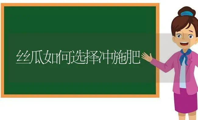丝瓜如何选择冲施肥 | 种植肥料施肥