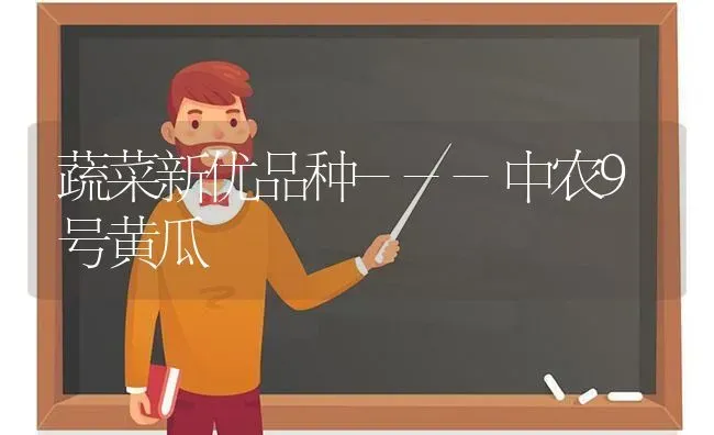 蔬菜新优品种---中农9号黄瓜 | 蔬菜种植