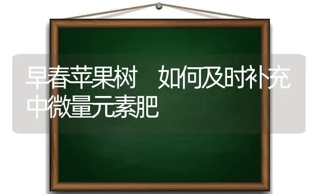 早春苹果树 如何及时补充中微量元素肥 | 瓜果种植