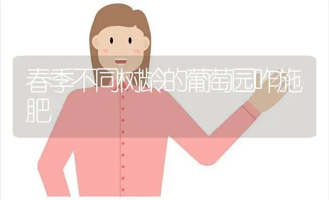 春季不同树龄的葡萄园咋施肥 | 种植肥料施肥
