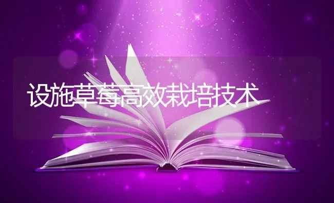 设施草莓高效栽培技术 | 瓜果种植