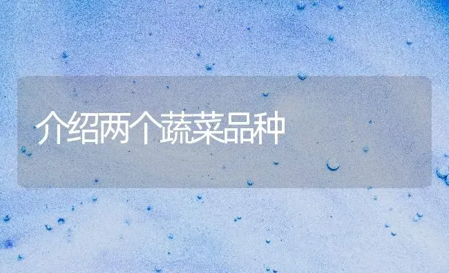 介绍两个蔬菜品种 | 蔬菜种植