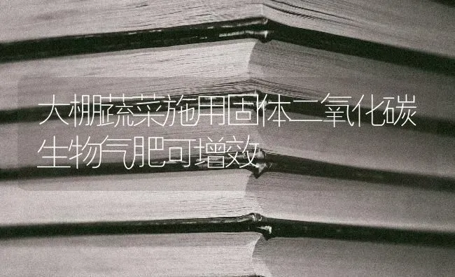 大棚蔬菜施用固体二氧化碳生物气肥可增效 | 蔬菜种植