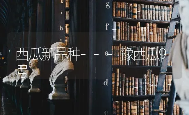 西瓜新品种---豫西瓜9号 | 瓜果种植