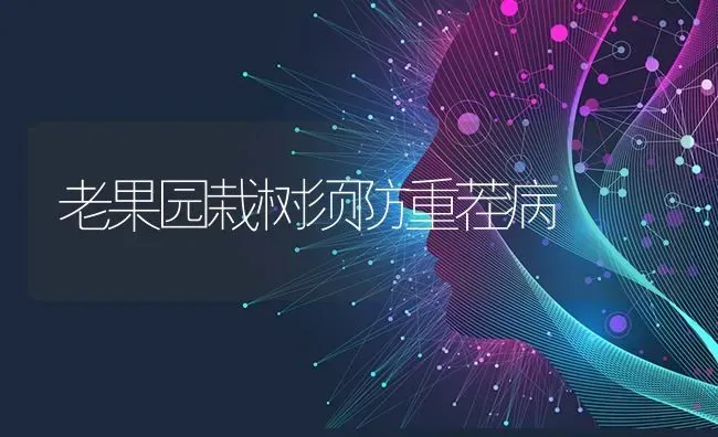 老果园栽树须防重茬病 | 瓜果种植