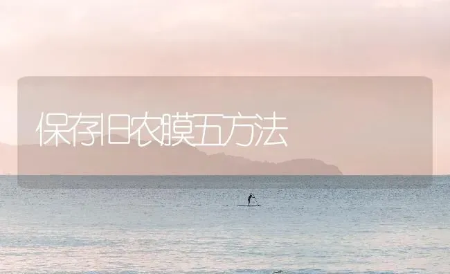 高产、抗病、耐重茬---双高大豆王 | 粮油作物种植