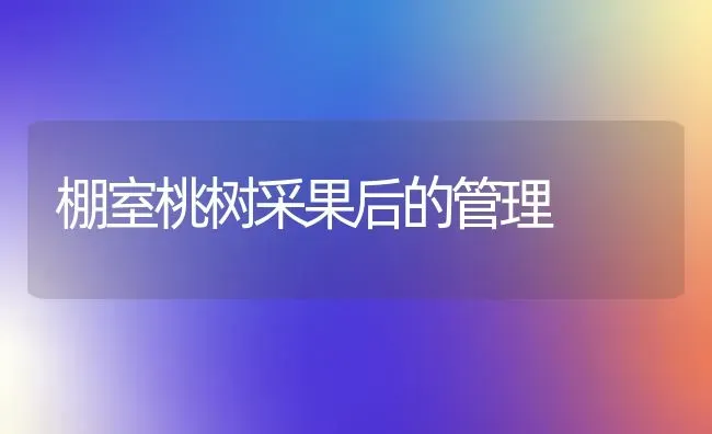 棚室桃树采果后的管理 | 瓜果种植