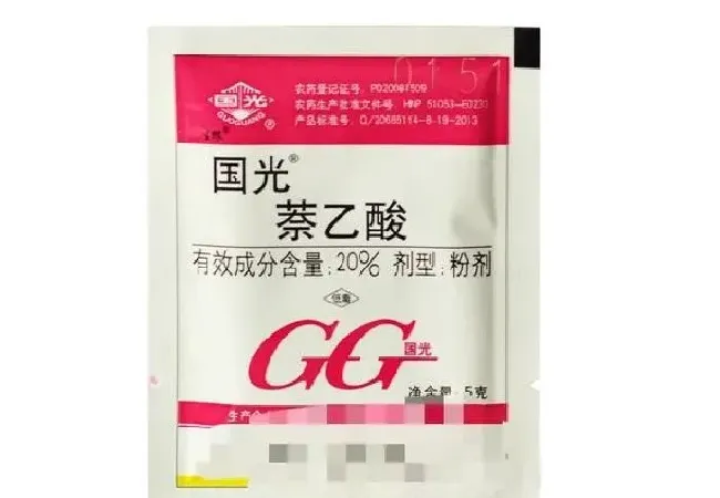 喷药|萘乙酸是什么东西（奈乙酸的功效作用及使用注意事项）