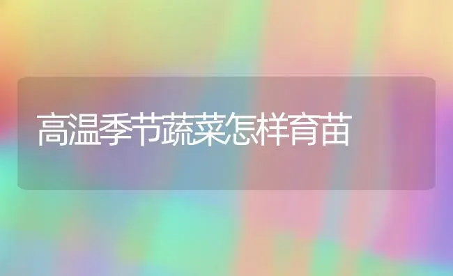 高温季节蔬菜怎样育苗 | 蔬菜种植