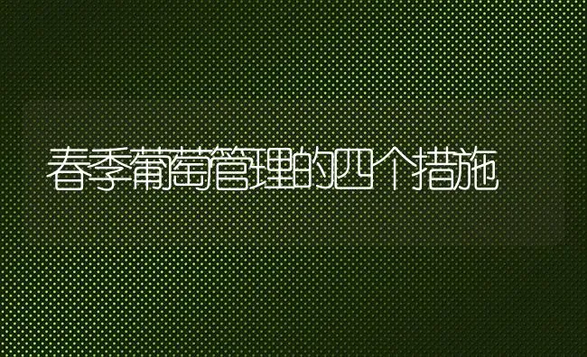 春季葡萄管理的四个措施 | 瓜果种植