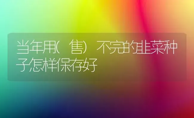 当年用(售)不完的韭菜种子怎样保存好 | 蔬菜种植