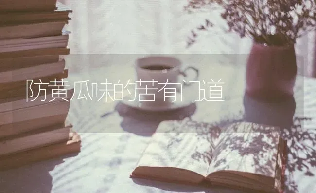 防黄瓜味的苦有门道 | 蔬菜种植