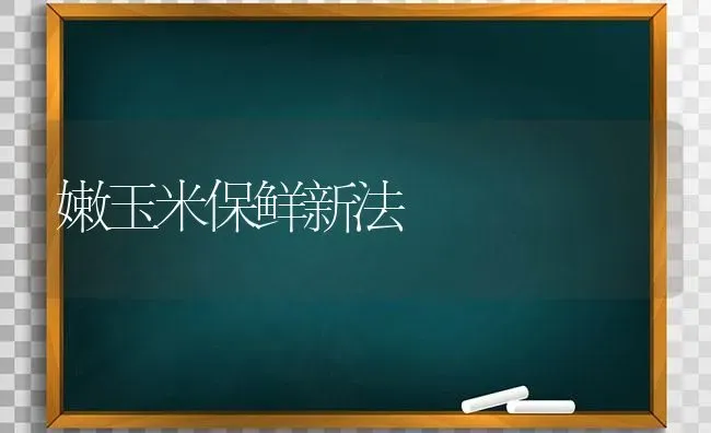 嫩玉米保鲜新法 | 粮油作物种植