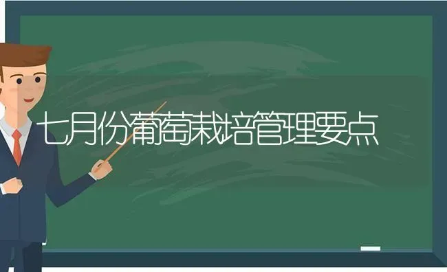 七月份葡萄栽培管理要点 | 瓜果种植