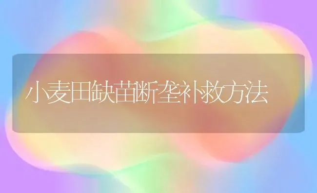 小麦田缺苗断垄补救方法 | 粮油作物种植