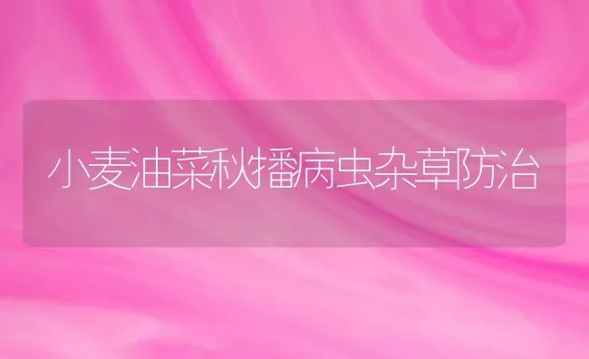 小麦油菜秋播病虫杂草防治 | 粮油作物种植