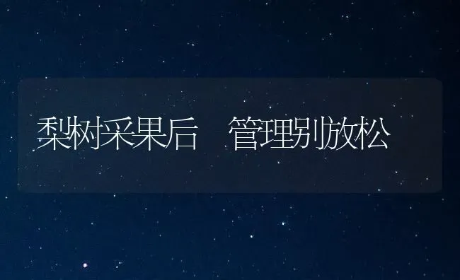梨树采果后 管理别放松 | 瓜果种植
