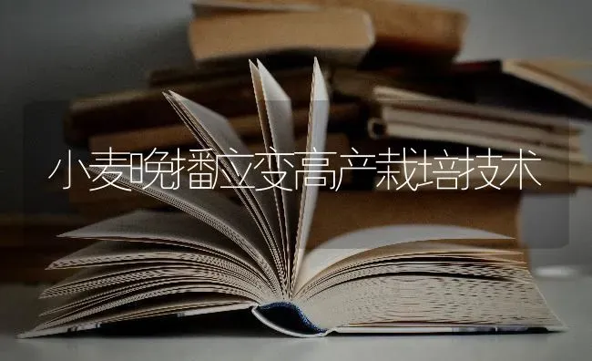 小麦晚播应变高产栽培技术 | 粮油作物种植