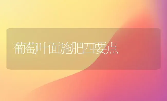 葡萄叶面施肥四要点 | 种植肥料施肥