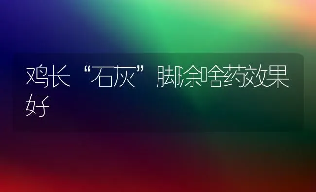 鸡长“石灰”脚涂啥药效果好 | 瓜果种植