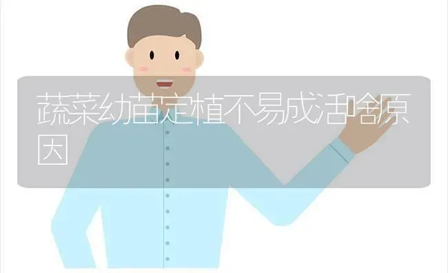 蔬菜幼苗定植不易成活啥原因 | 蔬菜种植