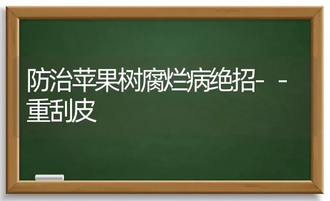 防治苹果树腐烂病绝招--重刮皮 | 瓜果种植