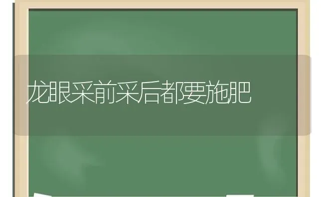 龙眼采前采后都要施肥 | 种植肥料施肥