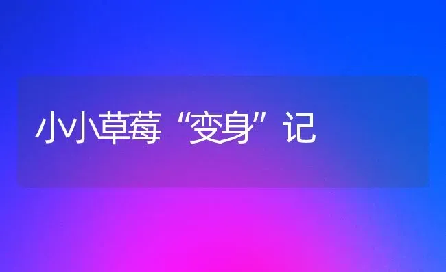 小小草莓“变身”记 | 瓜果种植