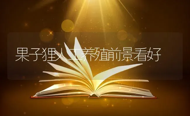 果子狸人工养殖前景看好 | 瓜果种植