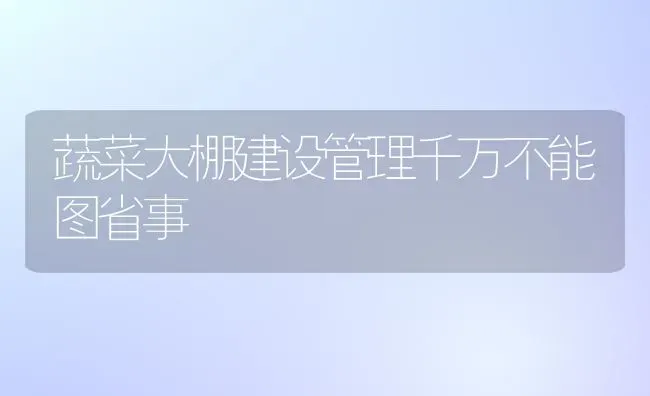 蔬菜大棚建设管理千万不能图省事 | 蔬菜种植