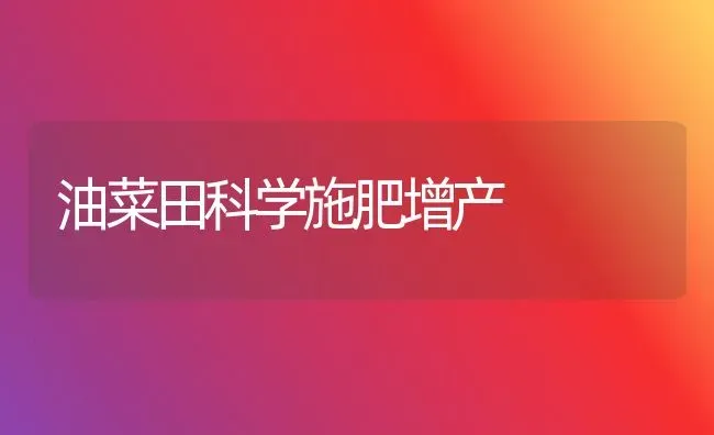 油菜田科学施肥增产 | 粮油作物种植
