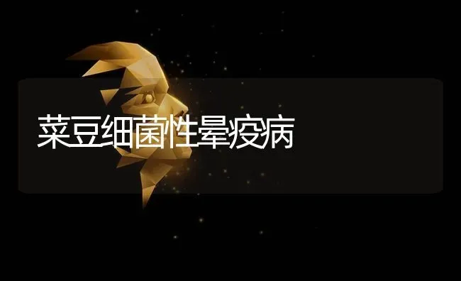 菜豆细菌性晕疫病 | 蔬菜种植